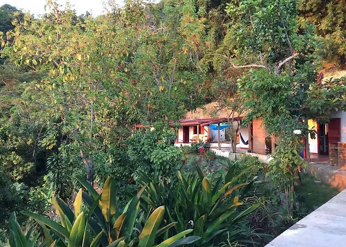 Finca San Rafael - Cafe Y Cacao