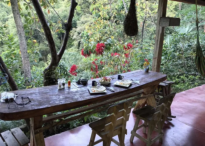 Finca San Rafael - Cafe Y Cacao